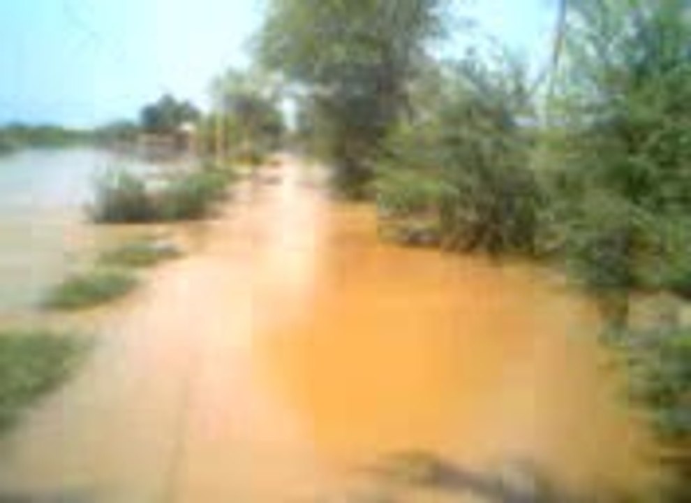selaab  rever jehlam