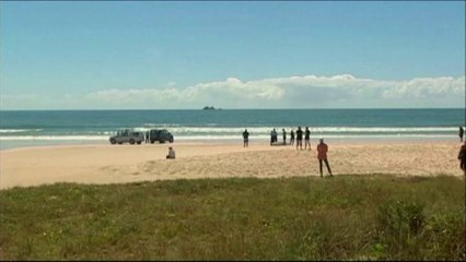 Un nageur tué par un requin en Australie