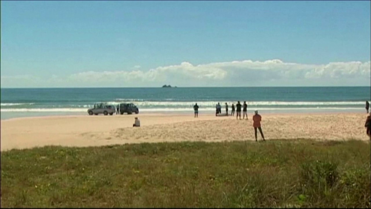 Un nageur tué par un requin en Australie
