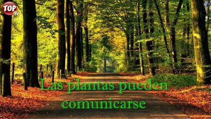 10 VERDADES MÁS INCREIBLES DE LA CIENCIA