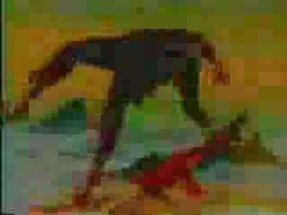 Judoboy