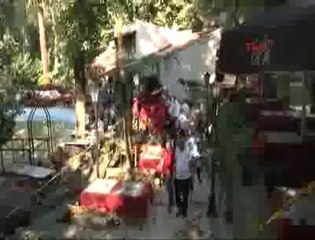 İstanbul'da ağaç faciası: 2 ölü