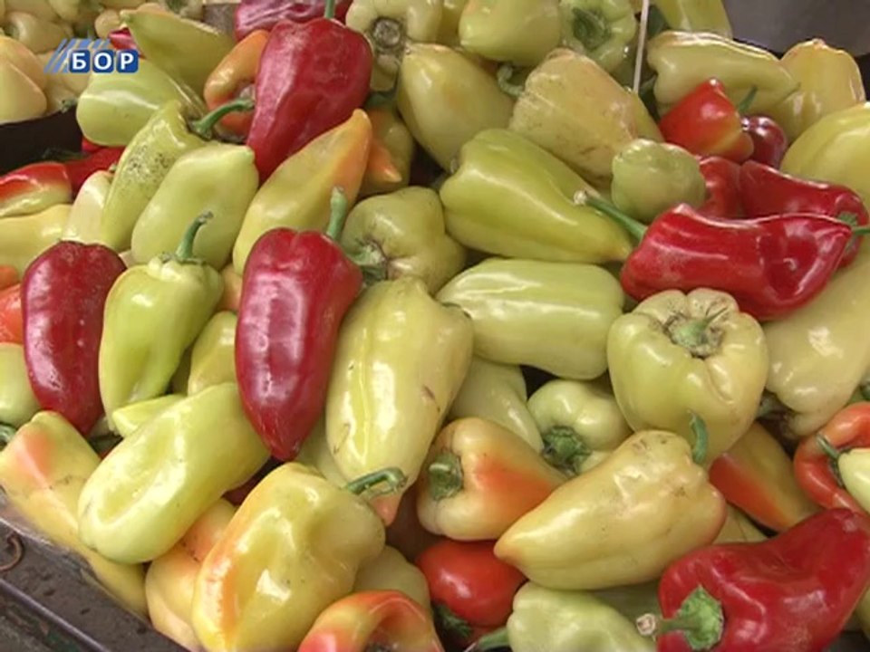 Povrće sazreva preko noći?, 09. septembar 2014. (RTV Bor)