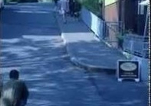 Smart Dog Invents New Way of Playing Fetch