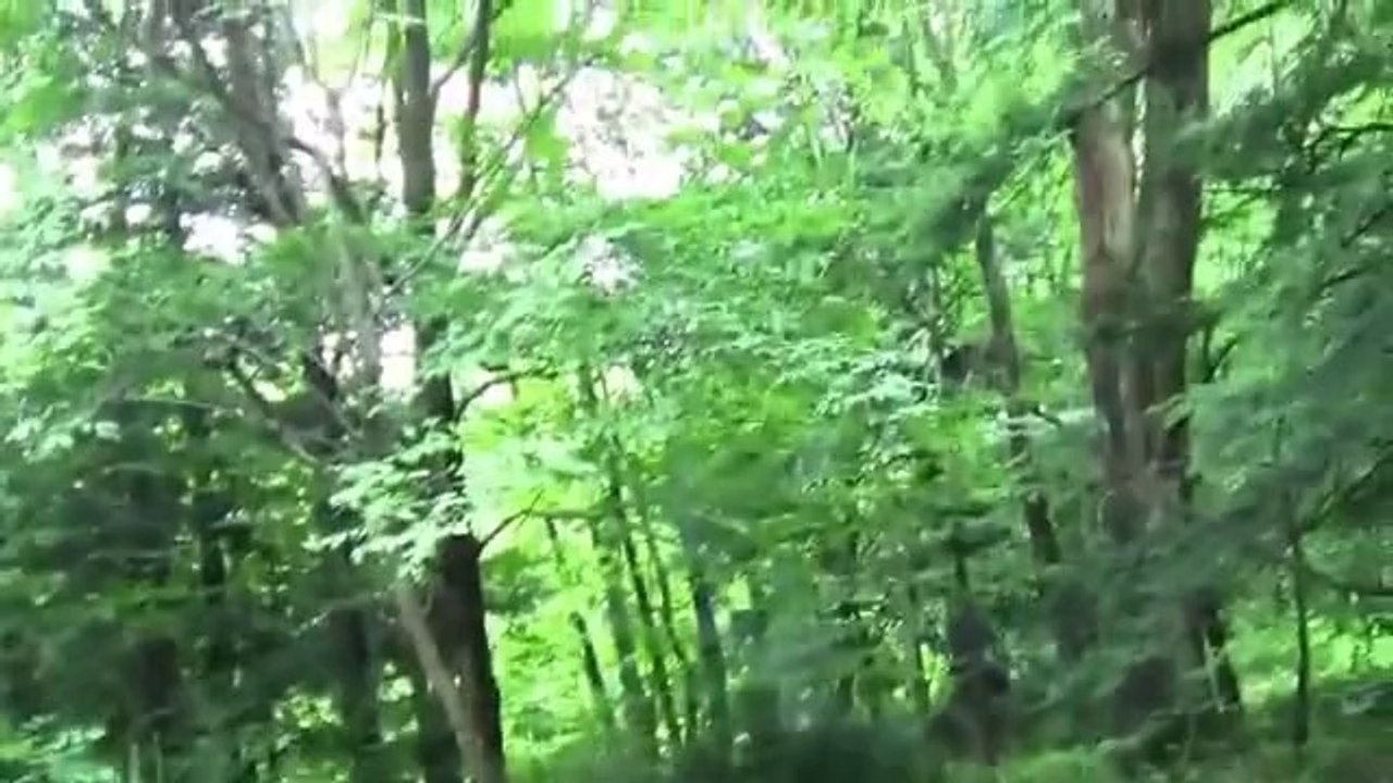 Slingshot rocket