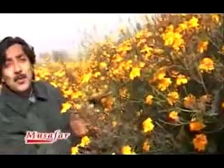 Peghor - Farukh Zeb 2014 - Pashto New Songs 2014
