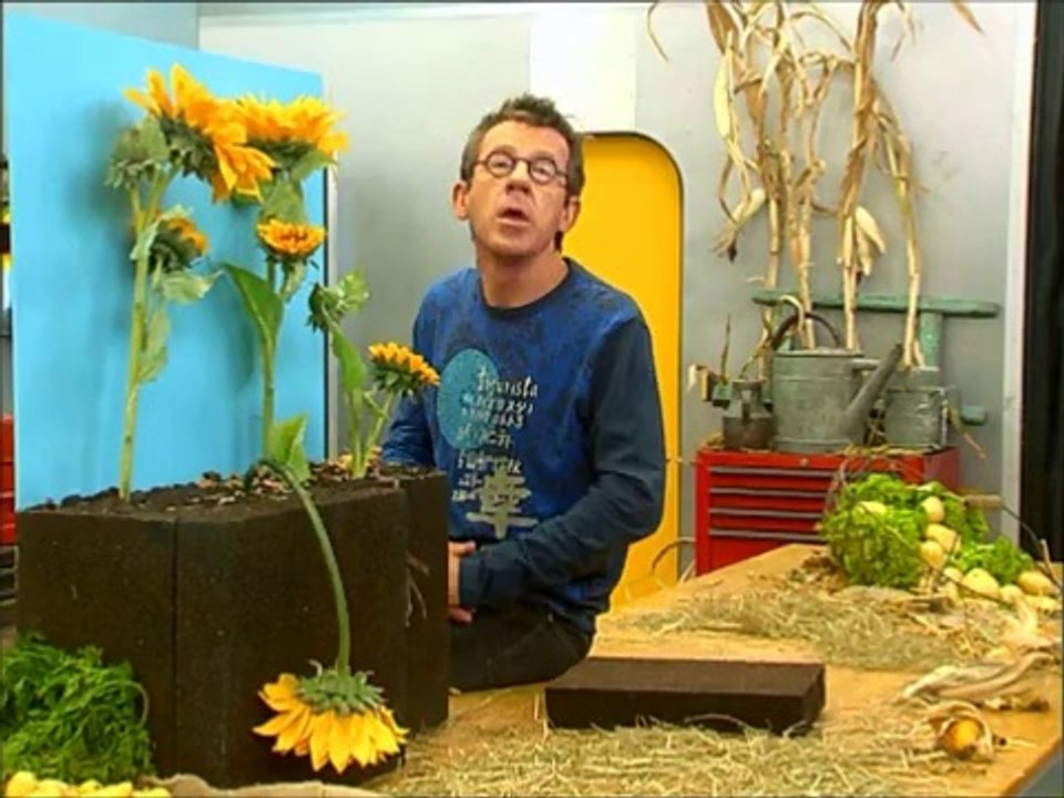 L'agriculture biologique