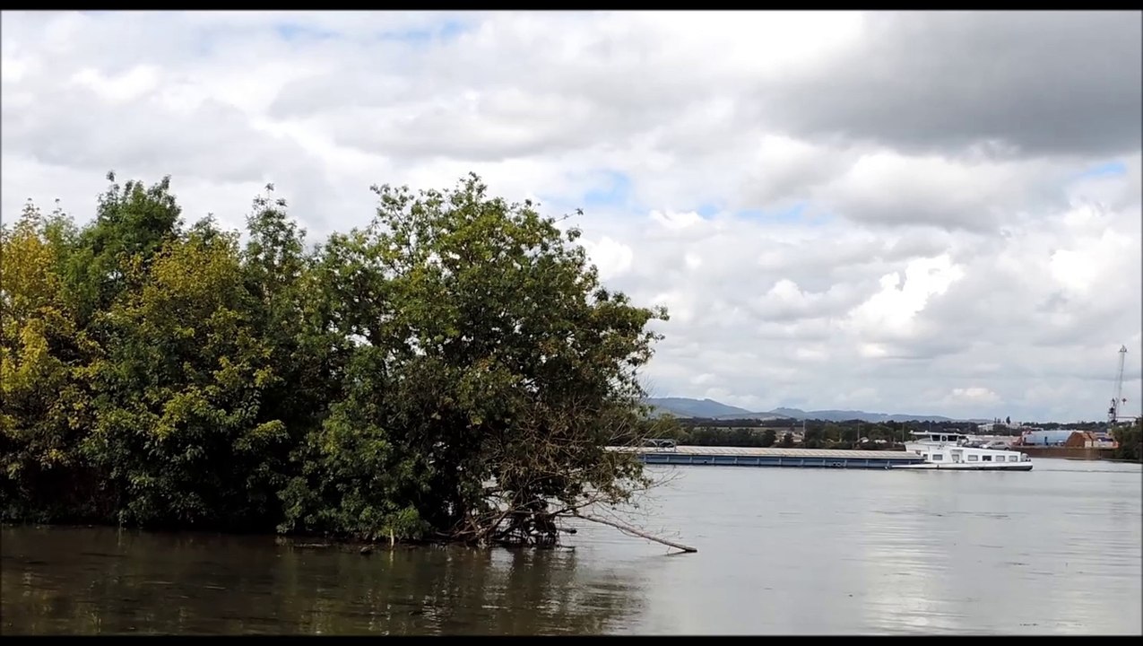 CARTOON Mâcon 27 août 2014