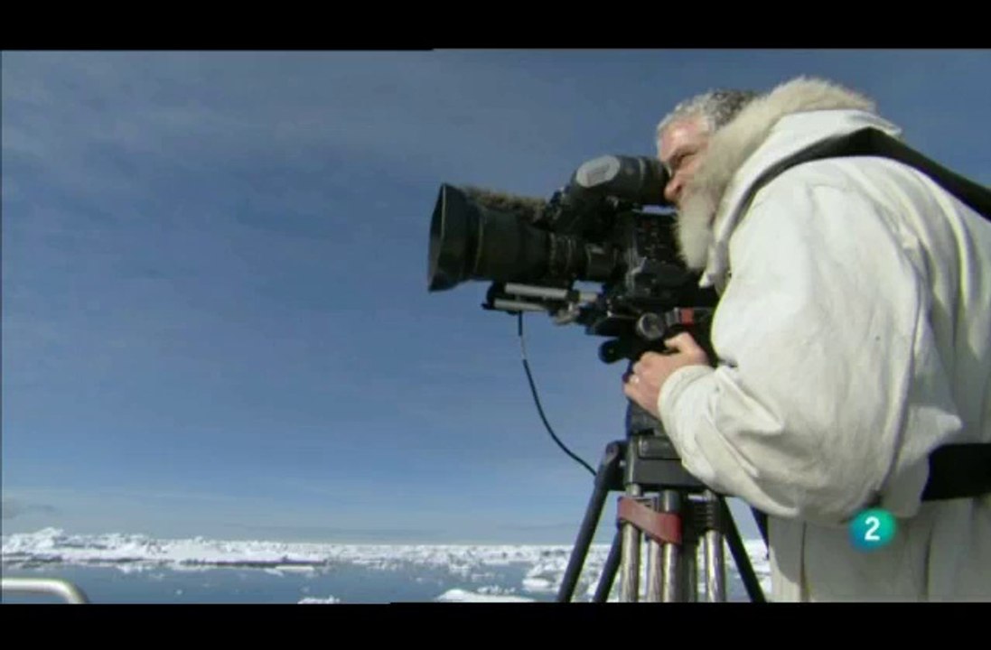 0908151824DVB-TLa2_10 Osos del Artico II 5 de 8