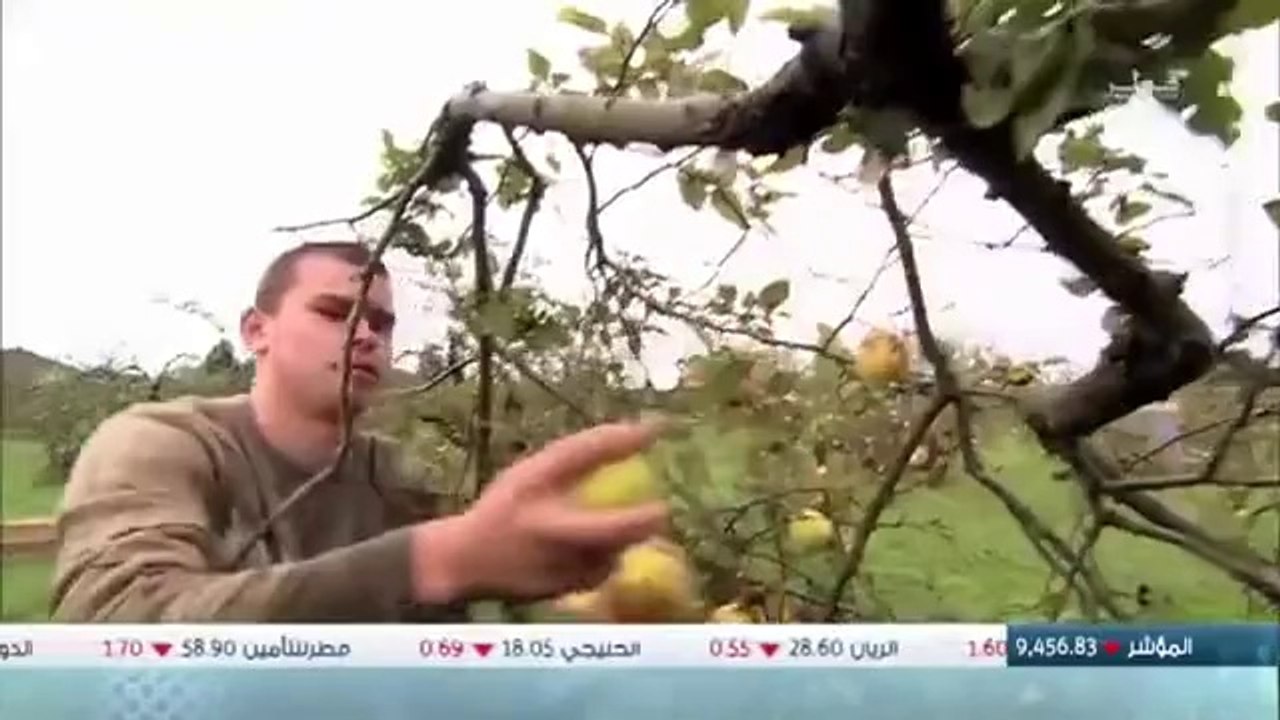 # الحلول الذكية _ HD