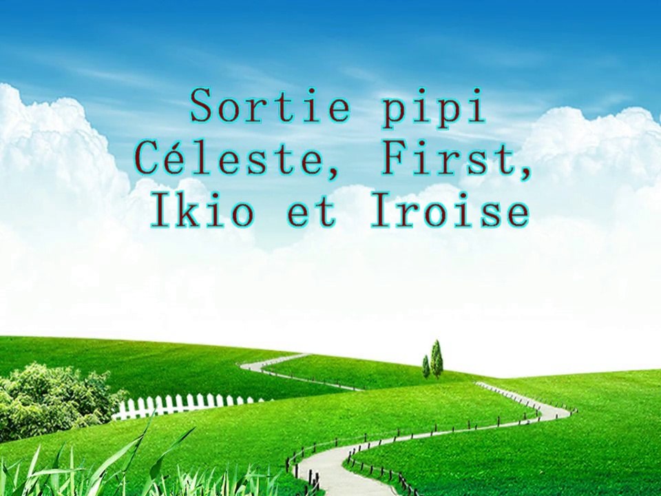 Sortie pipi