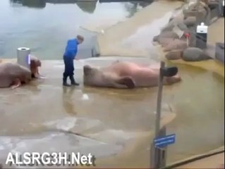 How To Make Abs and Reduce your Belly fats -p Hahahahahaha