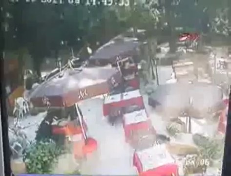 BEYKOZ'DA AĞACIN DEVRİLME ANI KAMERADA