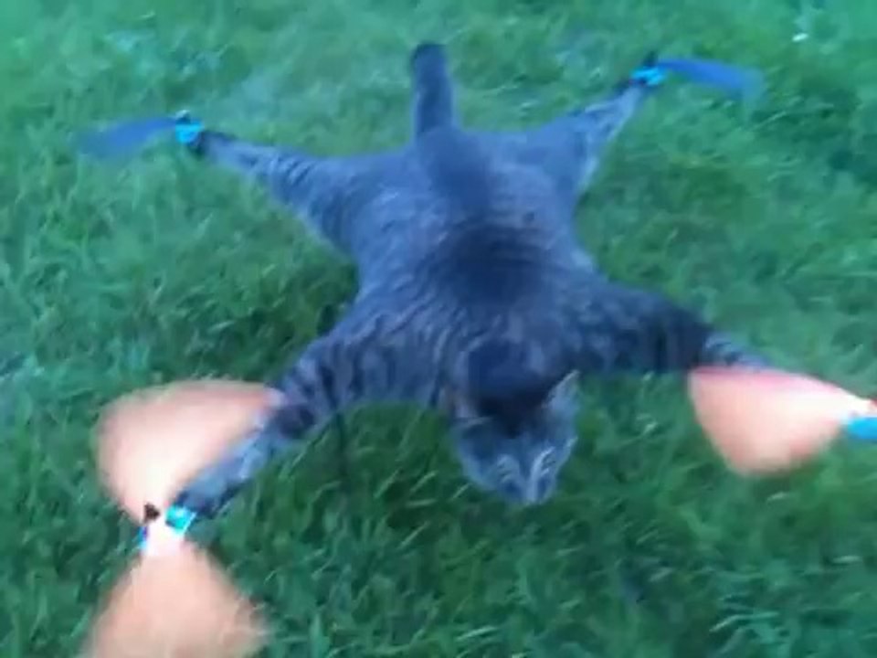 Bart Jansen transforme un chat en quadricoptère