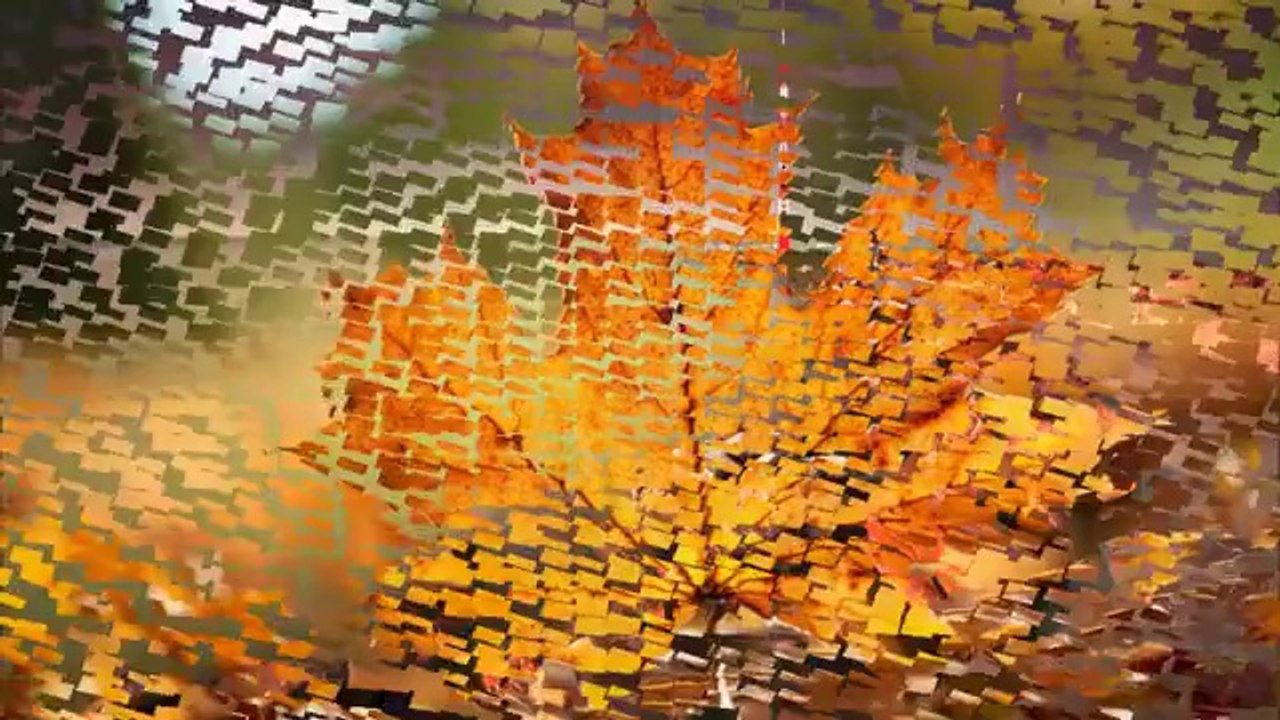 Dilek Taşı-Gülden Karaböcek ^^Soydan^^