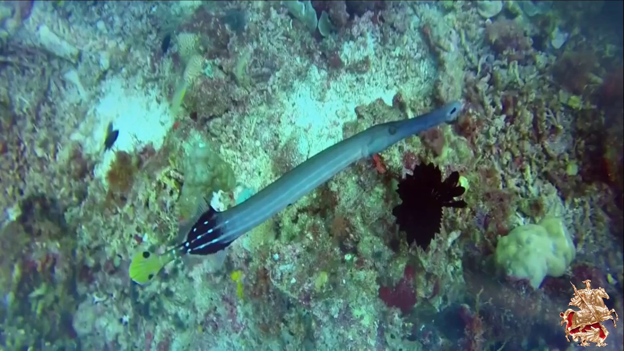 ♛♫♥Fisherman & Hawkins - A Place Called Yesterday(ReOrder Remix)(Mike Foyle Remix)(Original Mix)♥♫♛