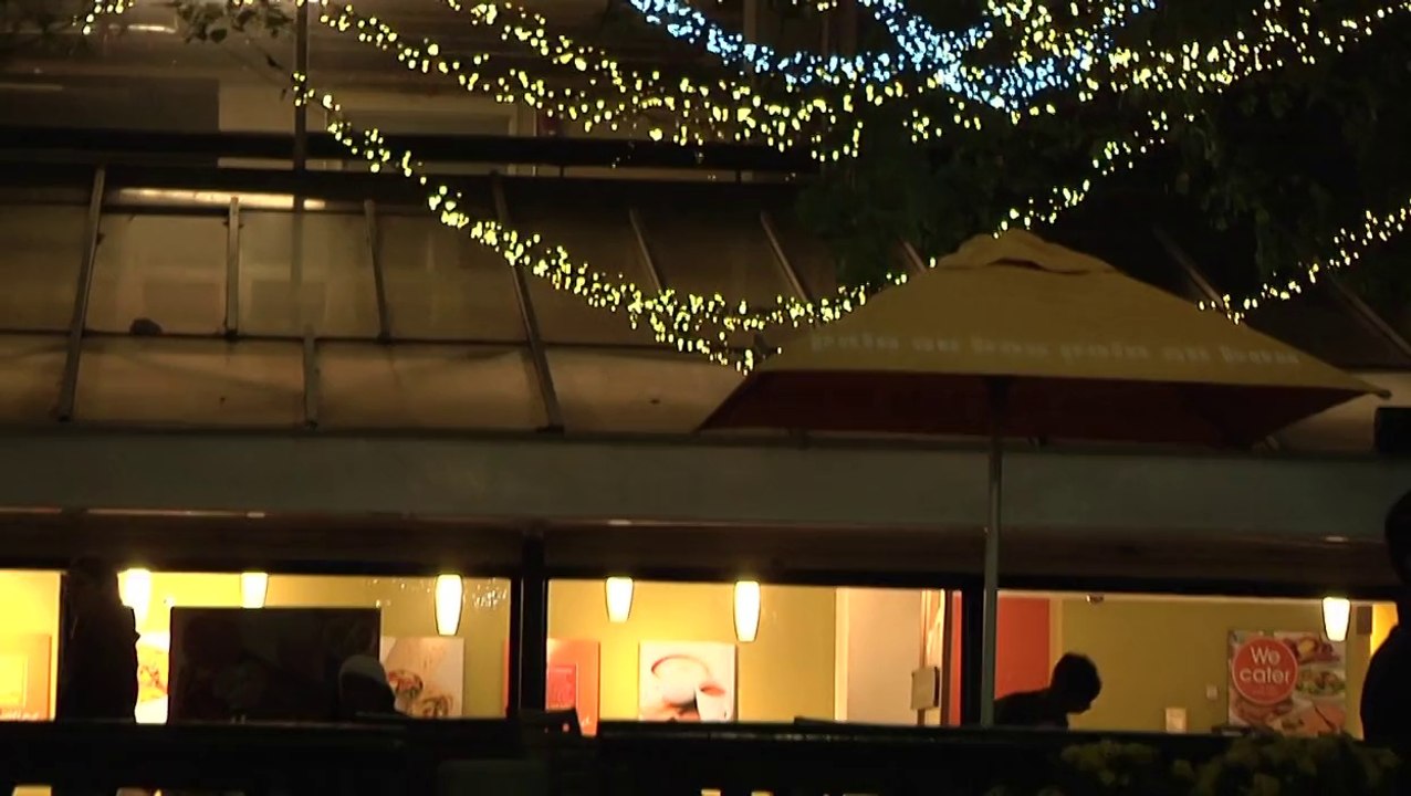 Howard Davidson Arlington Massachusetts - Harvard Square Video