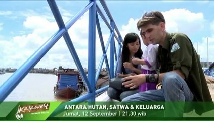 Promo Episode 5 "Kalaweit Wildlife Rescue"