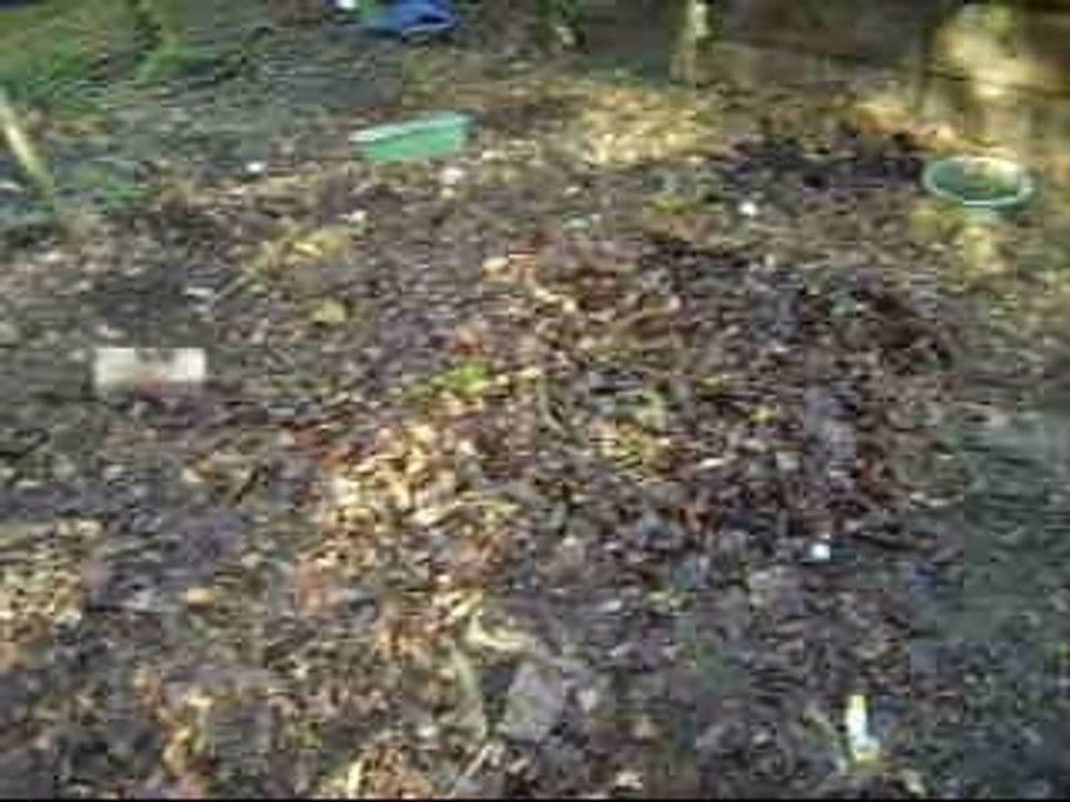 Henry Falling Down Hole