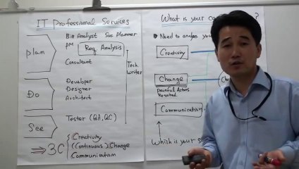 IT (Information Technology) Career Path Guideline