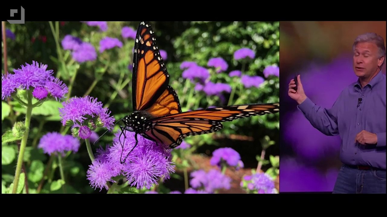 iPhone 6: Bigger Screen, Better Camera, Faster Processor and Apple Wants to Store Your CCs - Tekzilla Bites