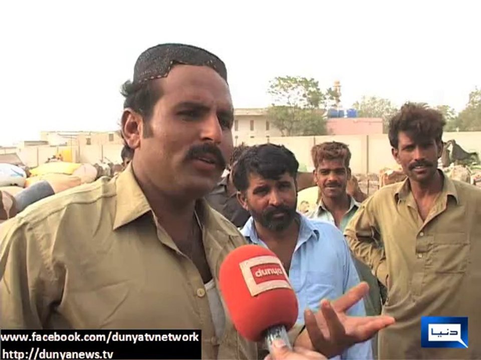 Dunya news-Influx of sacrificial animals continue in Asia's largest cattle market