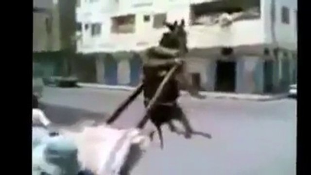 Güler misin ağlar mısın..