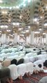 3-8-2013 مسجدِ نبویؐ میں نمازِتراویح