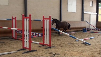 Braskho des Edènes septembre 2014