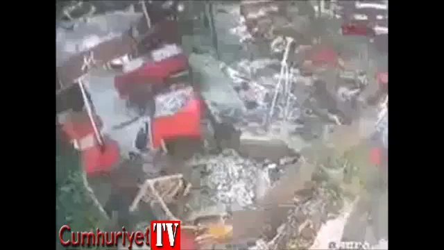 Beykoz'daki ağacın devrilme anı