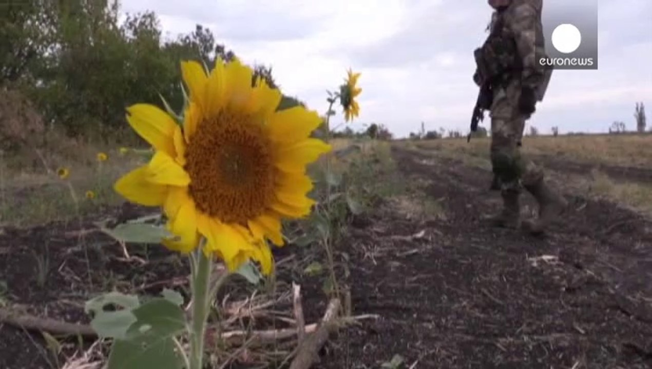 Ukraine ceasefire holds but underlying political and military tensions remain