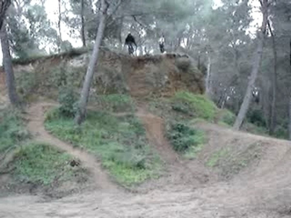 MOV03010