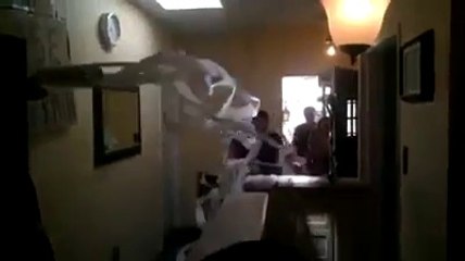 Dad And Son Fire Toilet Paper Cannon At Mom