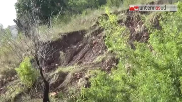 TG 09.09.14 Maltempo sul Gargano: agricoltura in ginocchio, danni per 60 mln