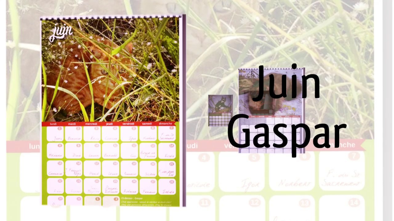 Calendrier APCLO 2015