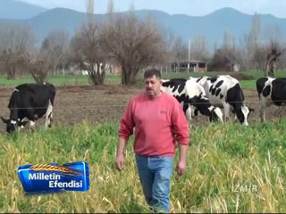 BUCA TARIMSAL KALKINMA KOOP.