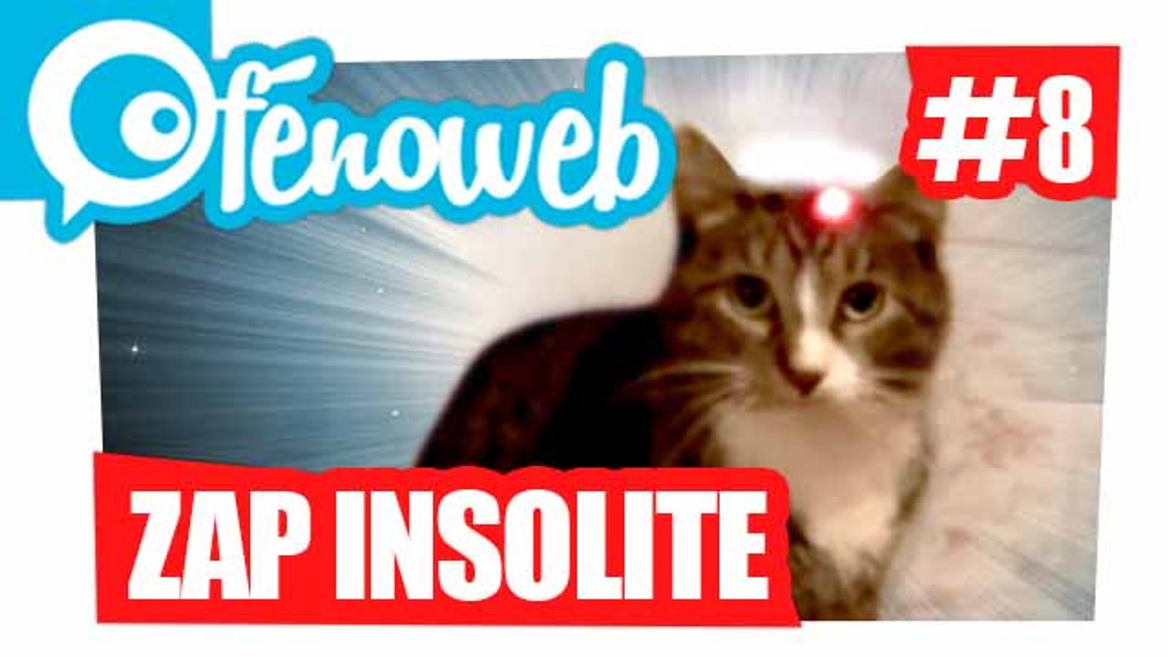 Compile Insolite du web Fin Aout 2014