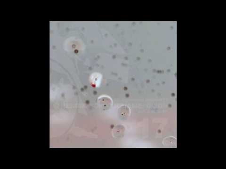 IV17 Henrik Schwarz / Âme / Dixon - D.P.O.M.B. (Version 1) -  D.P.O.M.B. EP