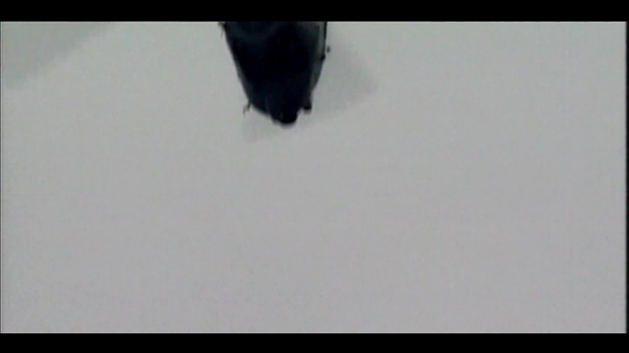 Les bons comptes de l’industrie française de l’armement