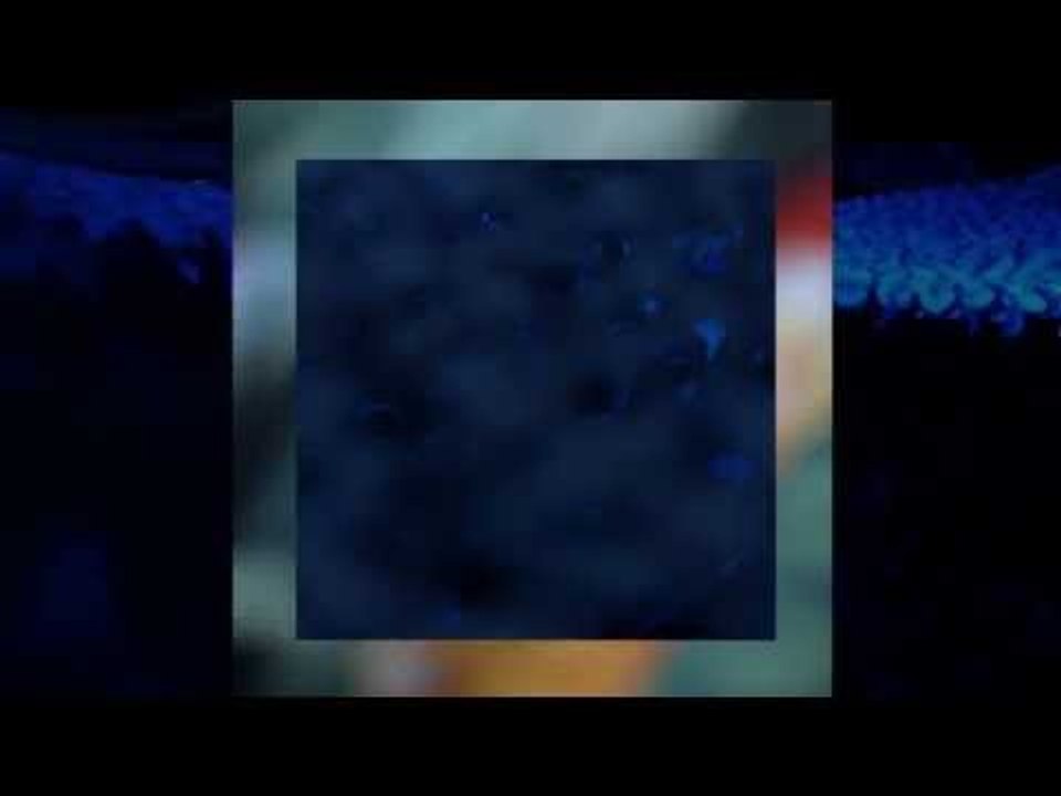 Lost In A Moment - Berlin 2013