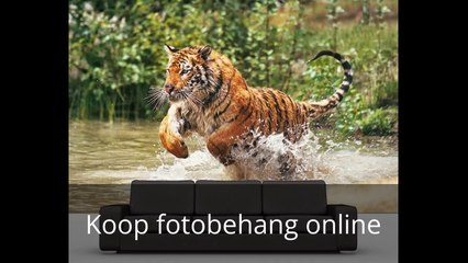 Canvas Schilderijen te Koop