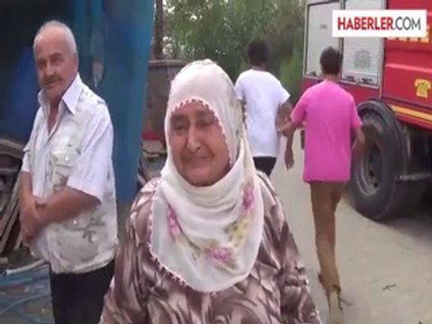 Ağaçta mahsur kalan kediyi itfaiye ekipleri kurtardı -