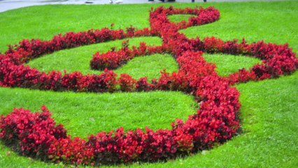 Viagem ao Centro da Europa - 2011