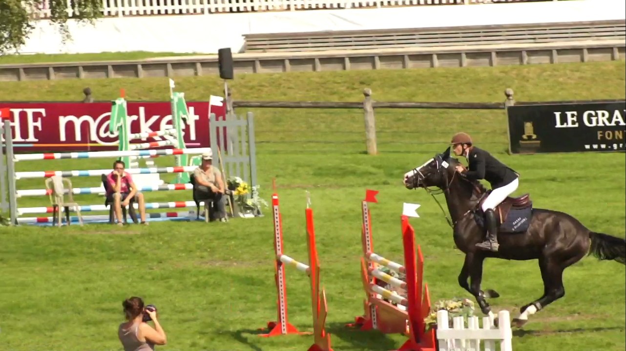 Ambre d'Elincourt à la Finale Cycle Classique des Hongres/Mâles de 4 ans en 2014