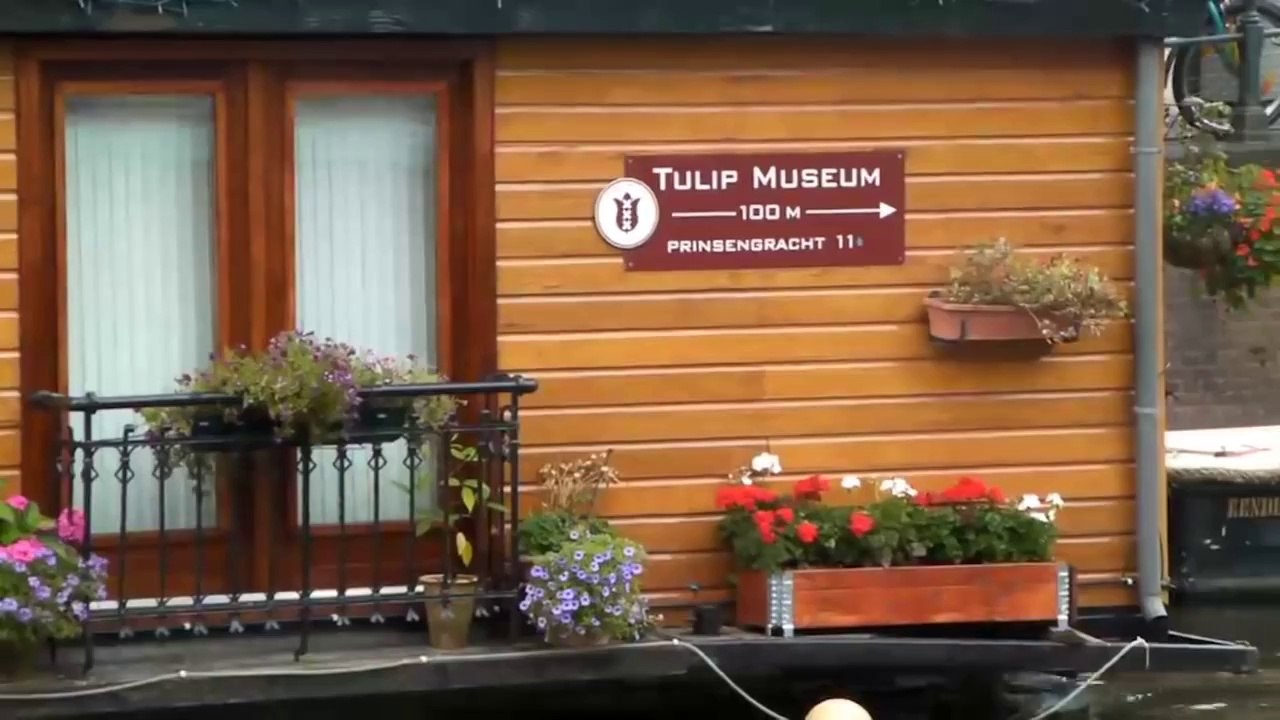 Amsterdam travel guide - top things to see in and around the city