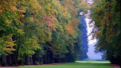 BOGUSŁAW MEC - Coś Śmiesznego