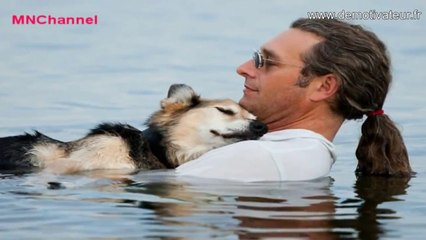 Cet homme fait tout pour soulager les douleurs de son chien