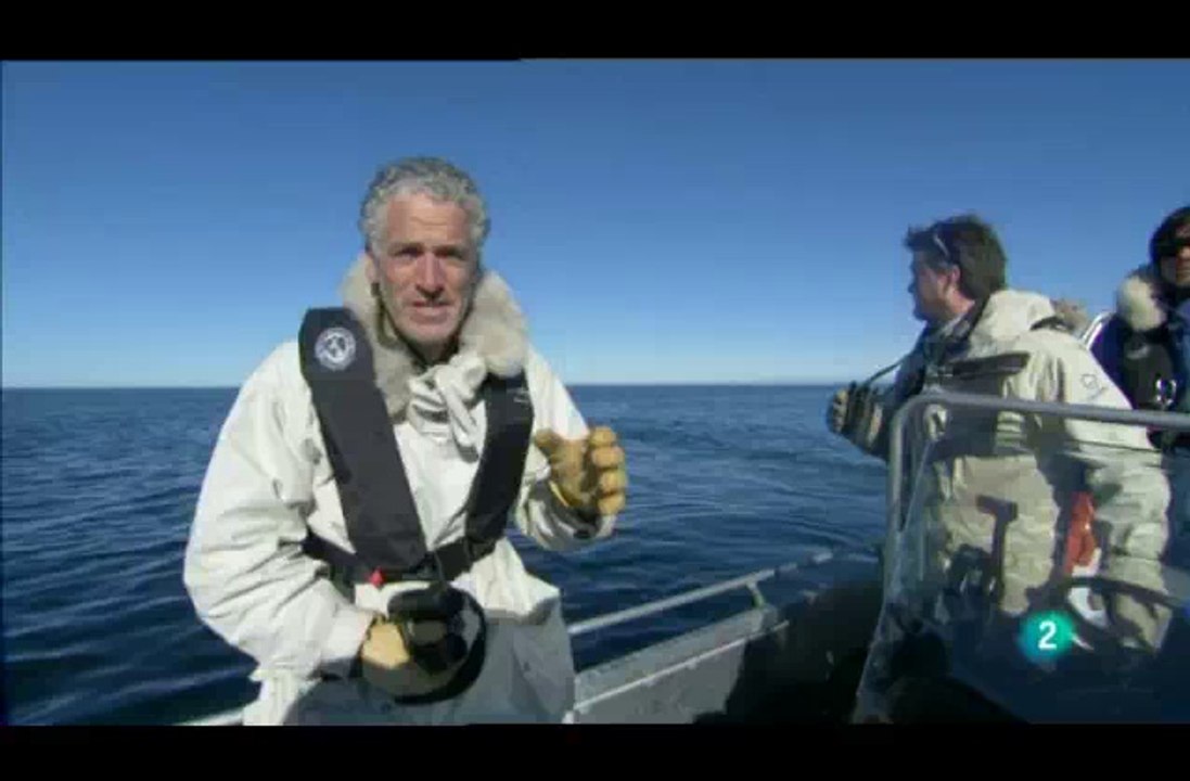 0908151824DVB-TLa2_11 Osos del artico II 6 de 8