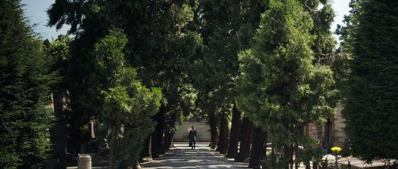 Le teaser du film "A Rose Reborn" de Park Chan-Wook pour Zegna
