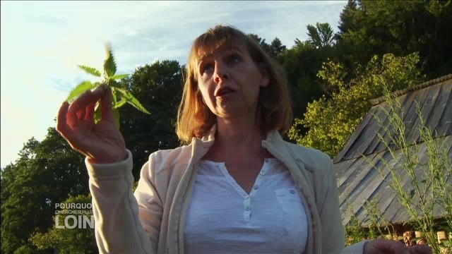 Pourquoi chercher plus loin - La traversée des Vosges 3